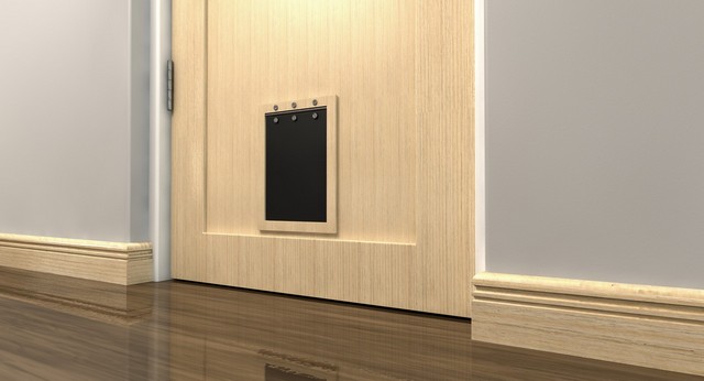 Cat Flap Installation Crystal Palace, Upper Norwood, SE19