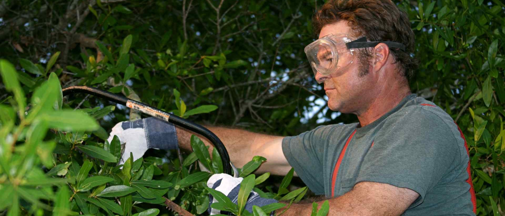 garden clearance SE19